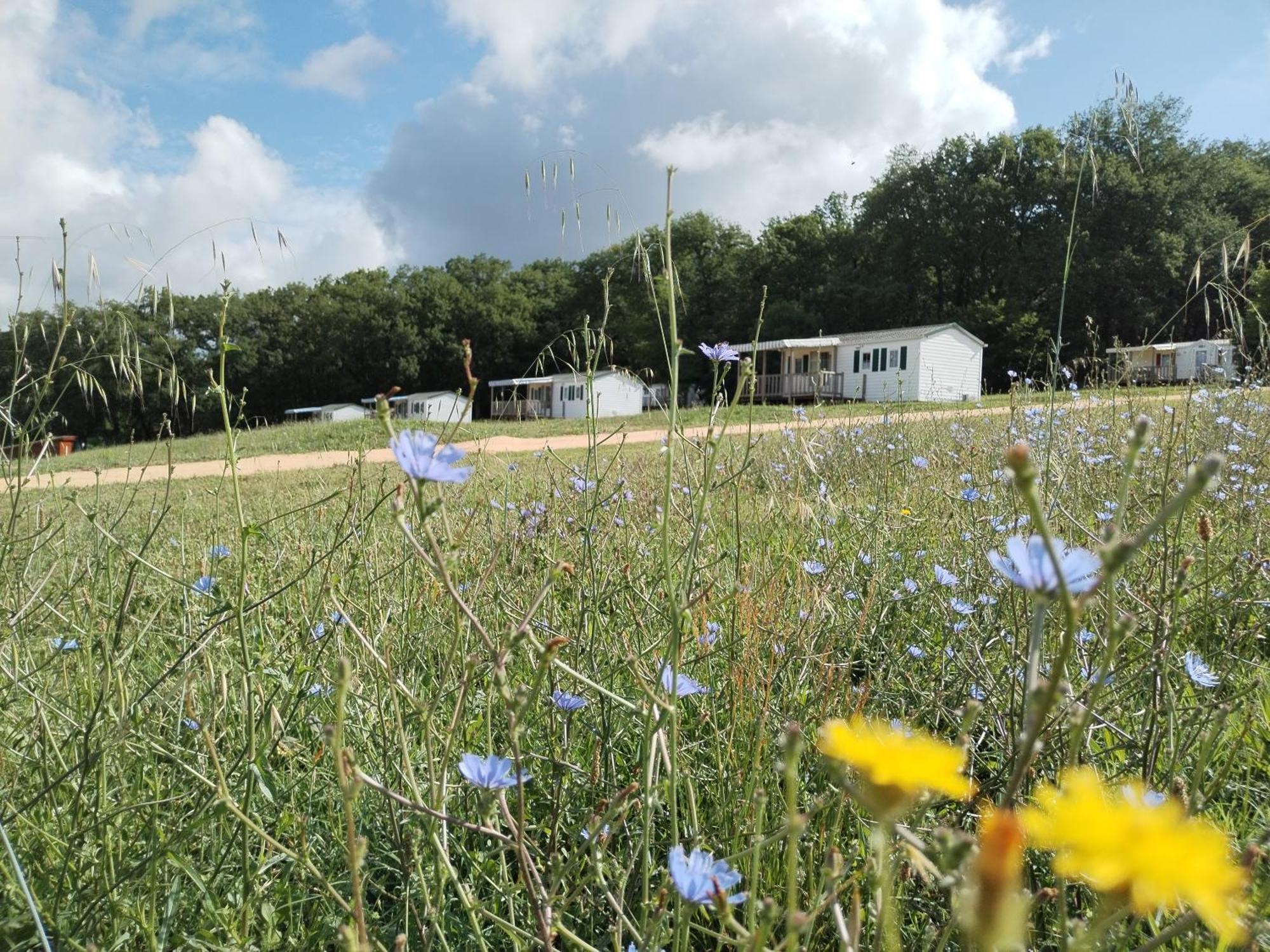 Camping Nature Le Valenty Mobil-Home-Dordogne Panoramique Clim Piscine Soturac Extérieur photo