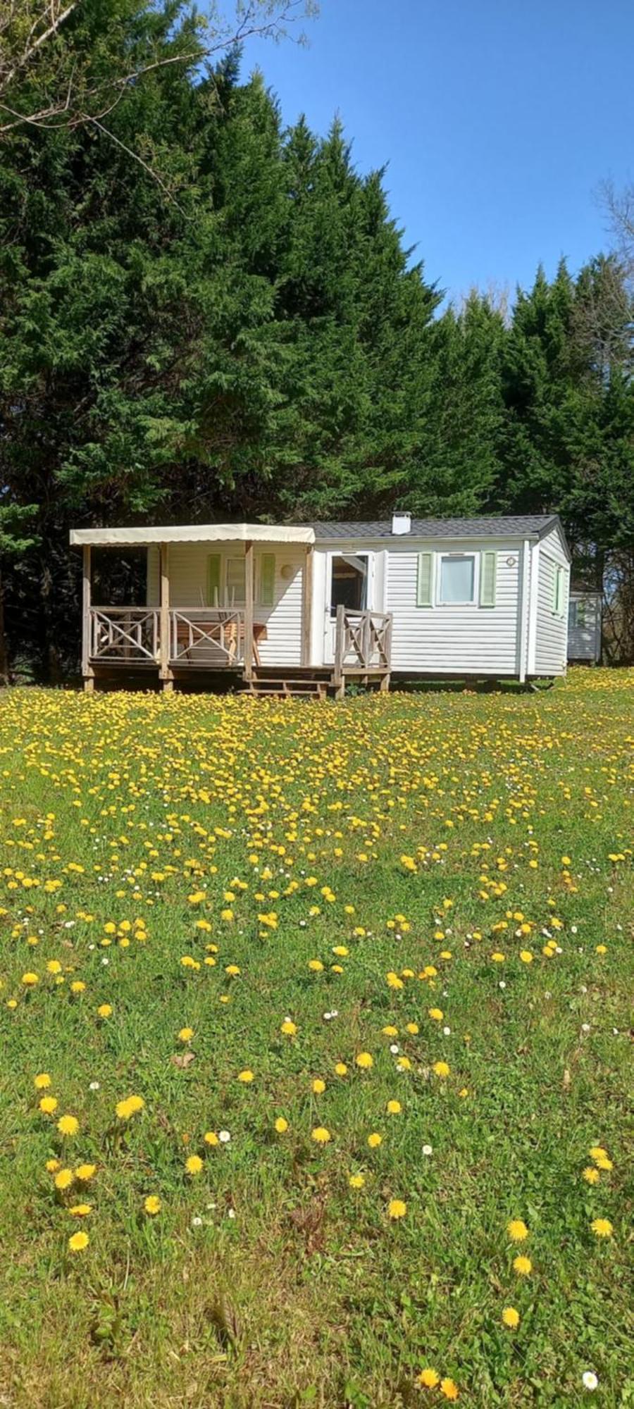 Camping Nature Le Valenty Mobil-Home-Dordogne Panoramique Clim Piscine Soturac Extérieur photo